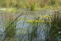 DSC09411