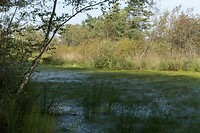 DSC09422
