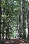 DSC09427