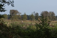 DSC09437