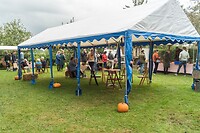 DSC00524