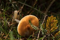 DSC00622