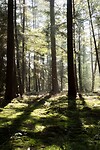 DSC00624