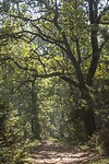 DSC00636