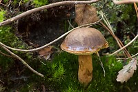 DSC00647