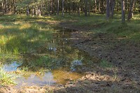 DSC00650