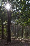 DSC00659