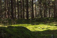 DSC00667