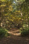DSC00669