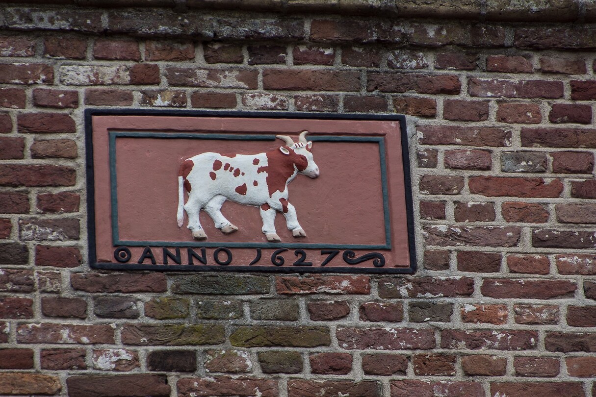 DSC00945