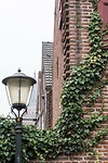 DSC00949