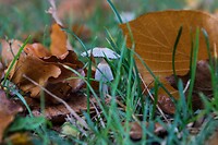 DSC00997
