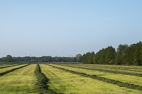 DSC03500