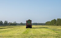DSC03505