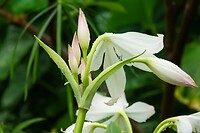 DSC03525