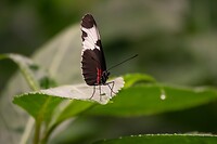 DSC03539