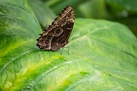 DSC03545