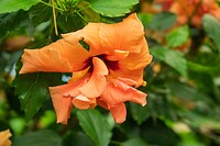DSC03557