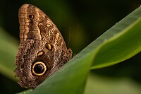 DSC03561