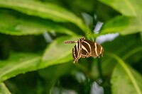 DSC03595