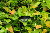 DSC03636