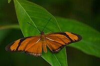DSC03801