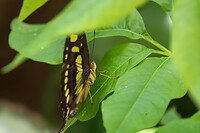 DSC03830