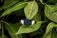 DSC03912