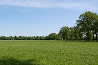 DSC03926