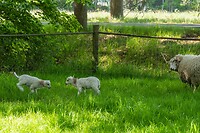 DSC03970