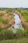 DSC04004