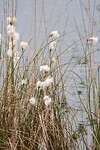 DSC04008