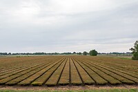 DSC04021
