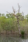 DSC04033