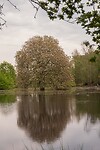 DSC04043