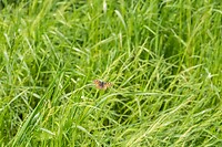 DSC04053