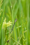 DSC04055