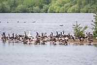 DSC04064