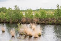 DSC04087