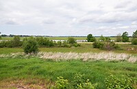 DSC04106