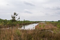 DSC04114