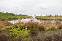 DSC04127