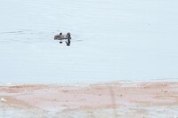 DSC04153--