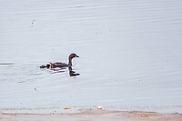 DSC04160-