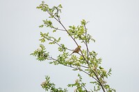 DSC04199