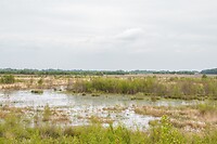 DSC04252
