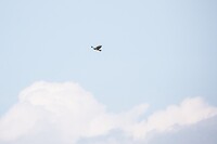 DSC04256