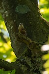 DSC04387