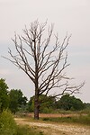 DSC04427