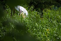 DSC04571